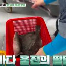 울진해산물 이미지