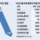 라니글로벌