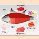 ◈스시(壽司, すし, sushi)도감◈ 이미지