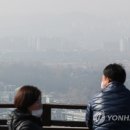 산책하는날 이미지