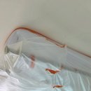 송정동-5 | 경기 광주 탄성코트 시공 송정동 베란다 곰팡이 결로 제거 탄성코트 후기