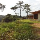 도수초등학교 병설유치원 이미지