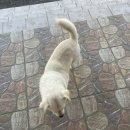 대웅황토펜션 이미지