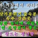 지은부동산공인중개사사무소 이미지