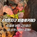 수암동거주자우선주차장 | 중랑구 이색카페 데이트 분양 강요없는 작은지구 파충류카페 진심 후기 주차장 안내