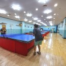 라이프 탁구클럽 이미지