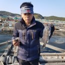 수진좌대 이미지