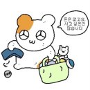 니트(Neat) | [tannat] 타낫 홀리데이 니트 퍼자켓 아이보리 짧은후기 / Neat fur jacket (ivory)