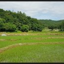 여주-1133 이미지