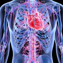 건강한윌병원 이미지