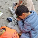 김포서초병설유치원 이미지