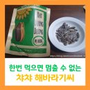 챠챠 해바라기씨(ChaCheer Hat Huong Duong)│베트남 쇼핑리스트에 있는 중국 국민간식, 미쳤다