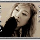 카리테스 Daum카페