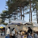 (주)현대그린푸드 서울아산병원 서관 | 대학병원 서울아산병원 사랑니 발치 여정....셔틀정보, 가격, 접수 및 서류발급 방법