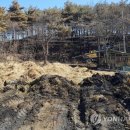 쌍둥이축산2 이미지