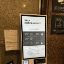 강릉스테이 | 강릉 숙소 레스티아스테이 내돈내산 후기 | 조식 깔끔한 인테리어 가성비