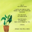 신비세탁소 이미지