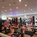 레이블YG센터 이미지