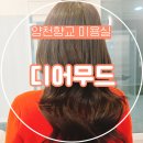 향교로 2 | 양천향교 미용실 디어무드, 헤어 염색으로 분위기 전환! 설아 디자이너 대만족 후기
