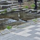 삼양골든빌딩 (삼양골든상가) | 종로 을지로 세운상가 공중보행길ㅣ사라지기 전 가봐야할 서울 도심 뷰 산책 코스