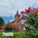 칠곡 가실성당 | 칠곡 가볼만한곳 폭싹 속았수다 결혼식 촬영지 칠곡 가실성당 대구 배롱나무 명소