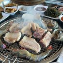 돼지가좋은세상 이미지