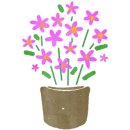 코스치과기공소 이미지