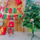 _12월이벤트DAY:🎄merry christmas_ 이미지