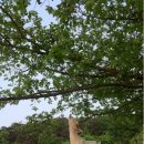 한동농장 이미지