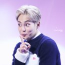 더플래이 이미지