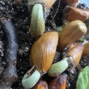 야우농장 이미지