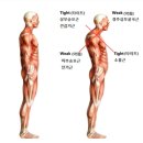 피트니스라인 이미지