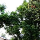 완산-134 이미지