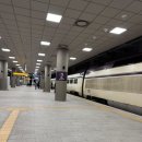 별보리스테이 | 템플스테이|자비선사(경북 성주) 템플스테이 후기