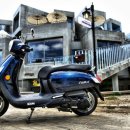 다윈커머스 이미지