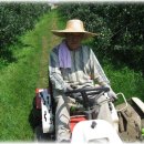 청송농장 이미지