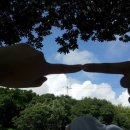 솜반내(솜반천) 이미지