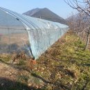 송간농장 이미지