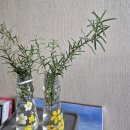 차박사카클리닉 | (삼례)차박사카클리닉