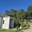 관광 꿈꾸는숲 펜션 이미지