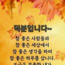 미니단호박 작은사이즈 5분요 이미지