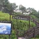 성정약국 이미지