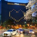 밀레니엄 이미지