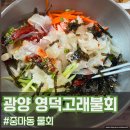영덕고래불회