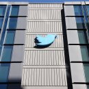 블루버드 이미지