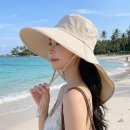 쓸쓸한 여름 - 나태주 이미지