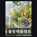 플랑떼플레르