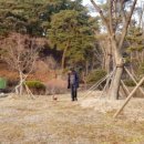 예담건축사사무소 - 천안시 서북구 부성1길 40 | 예담건축사사무소