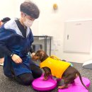 놀로 아쿠아센터 이미지