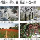 (가볼곳)서울의 아름다운 꽃길 170선 . 이미지
